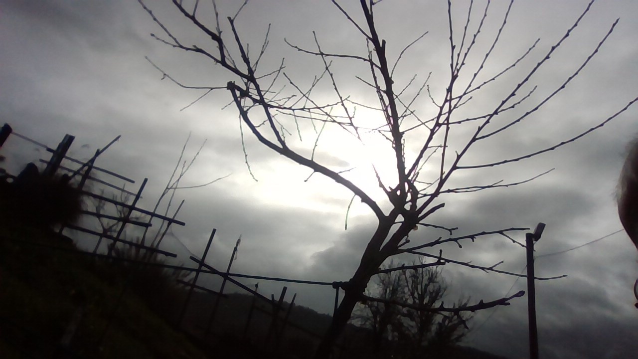 ADHD Burnout, Winter Solstice a Time of Rest and Renewal